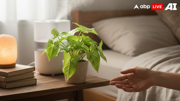 (Image Source: ABPLIVE AI)