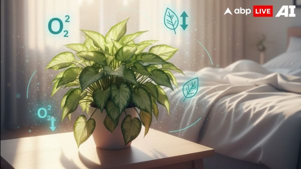 (Image Source: ABPLIVE AI)