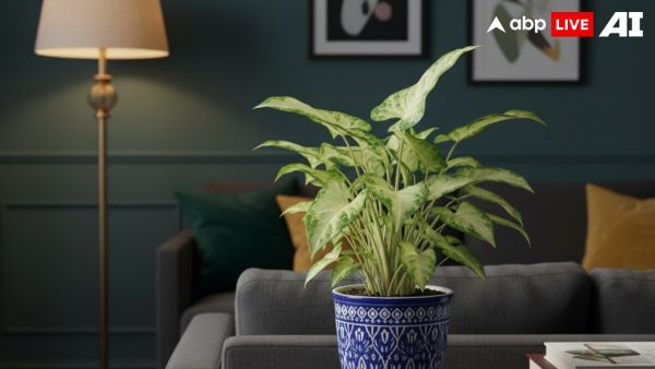 (Image Source: ABPLIVE AI)