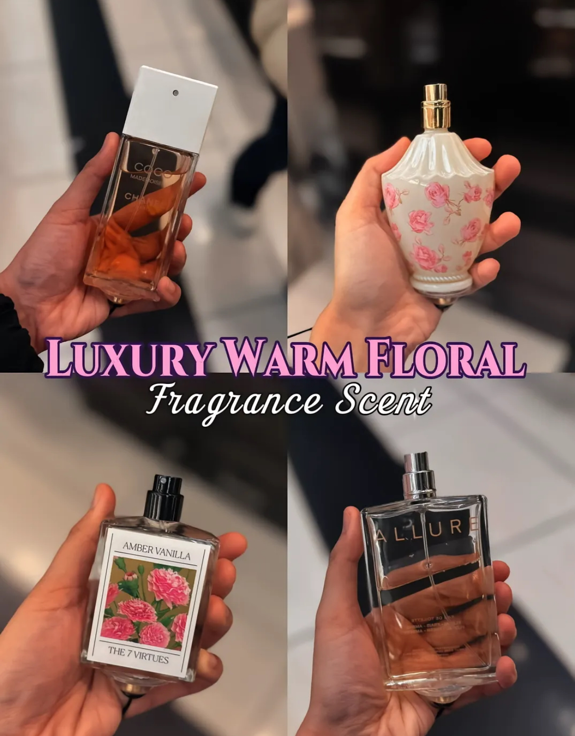 Cozy Bloom Perfumes!