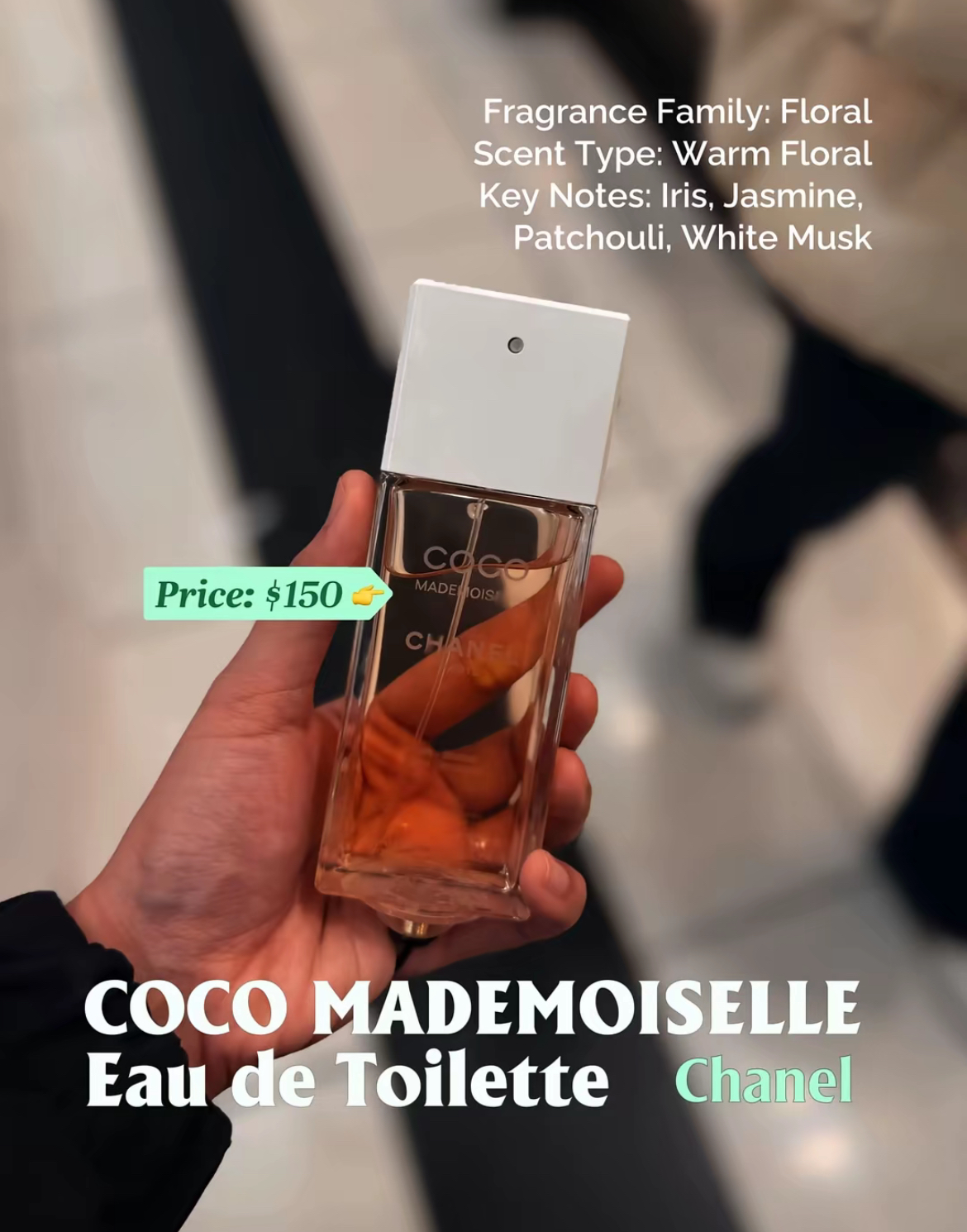 Cozy Bloom Perfumes!