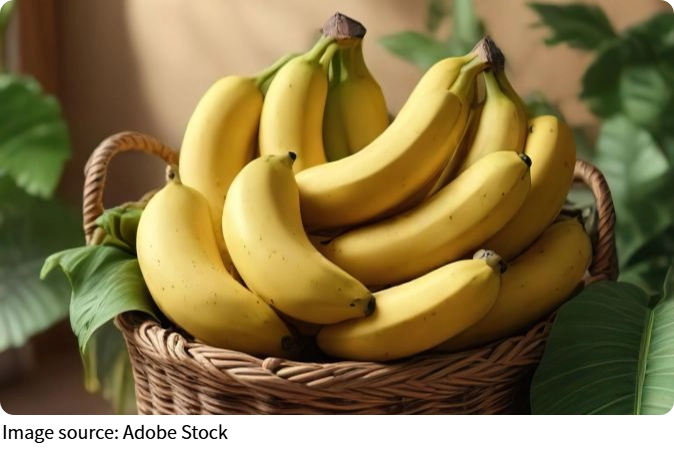 Sắc sáng chuối chín