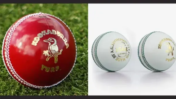 What’s the Key Difference Between Red and White Balls
