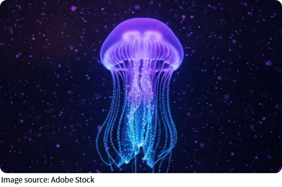 Тайны подводной бездны