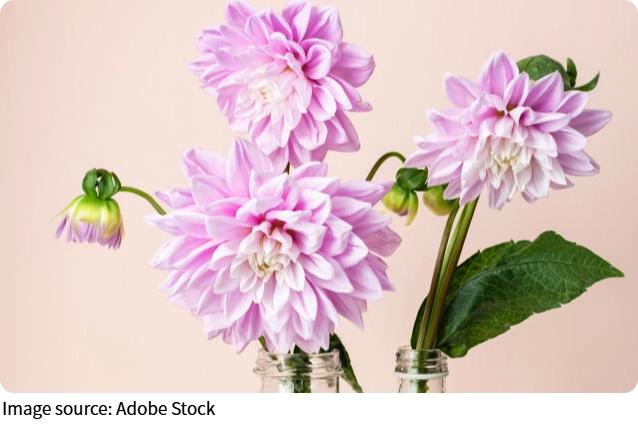 Desain Floral Jepang