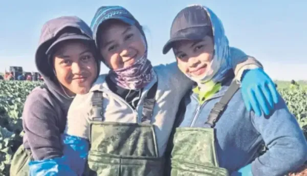 Jadi Petani di Australia, Adik-Kakak Ini Raup Lebih dari Rp 54 Juta Sebulan! Jadi Petani di Australia, Adik-Kakak Ini Raup Lebih dari Rp 54 Juta Sebulan!