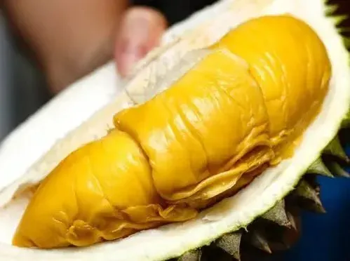 Duh! Pria ini Santai Curi Durian Musang King Berkali-kali di Siang Hari Seorang pedagang durian di kota Puchong, Malaysia mengalami kejadian tak terduga ketika seorang pria tak dikenal datang dengan sepeda motor dan mencuri durian dari lapak jualannya di siang bolong (28/07).