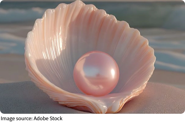 İncinin Parıltısı