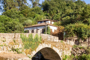 Vizela: Springs & Views