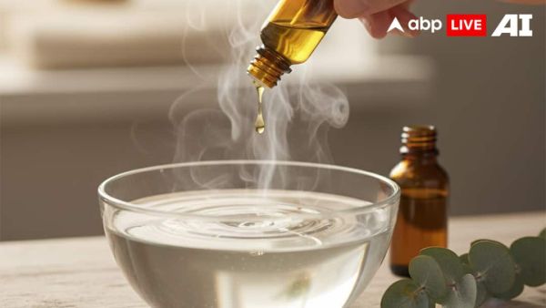 (Image Source: ABPLIVE AI)