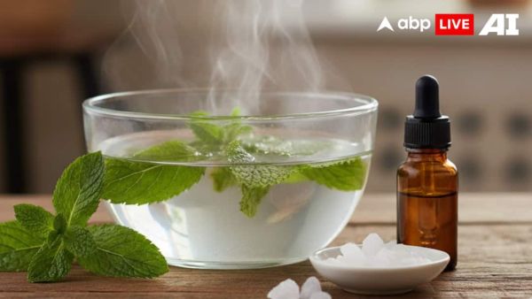 (Image Source: ABPLIVE AI)