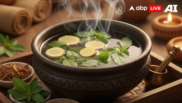 (Image Source: ABPLIVE AI)