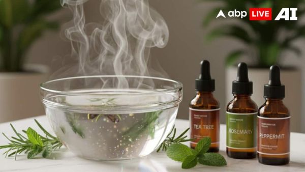 (Image Source: ABPLIVE AI)