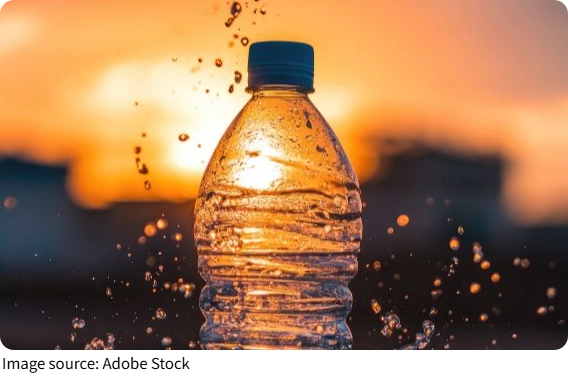 Mushrooms Replace Plastic