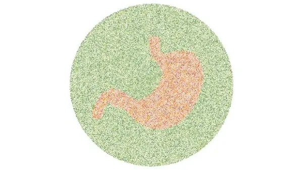 Yakin Kamu Nggak Buta Warna? Buktikan Lewat Tes Ini