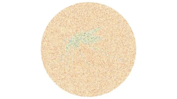 Yakin Kamu Nggak Buta Warna? Buktikan Lewat Tes Ini