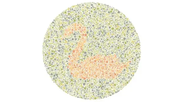 Angka 2 atau Siluet Angsa? Tes Kemampuan Mata Kamu Melihat Warna