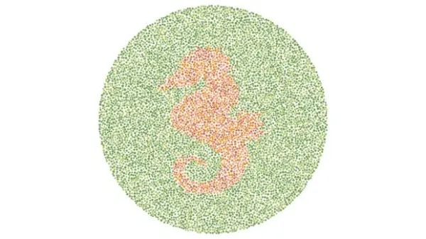 Angka 2 atau Siluet Angsa? Tes Kemampuan Mata Kamu Melihat Warna