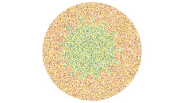 Yakin Kamu Nggak Buta Warna? Buktikan Lewat Tes Ini