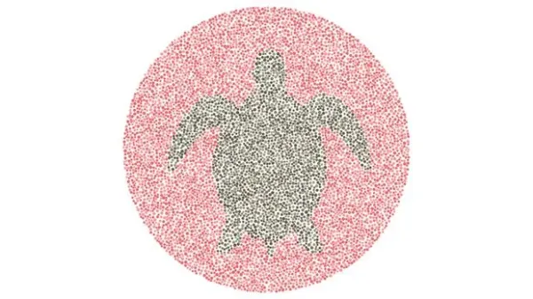 Angka 2 atau Siluet Angsa? Tes Kemampuan Mata Kamu Melihat Warna