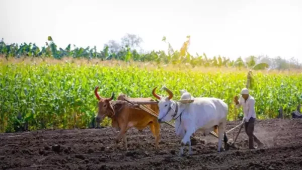 PM Fasal Bima Yojana