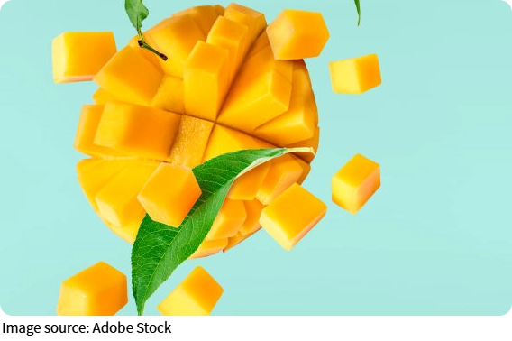 Golden Mango Giant