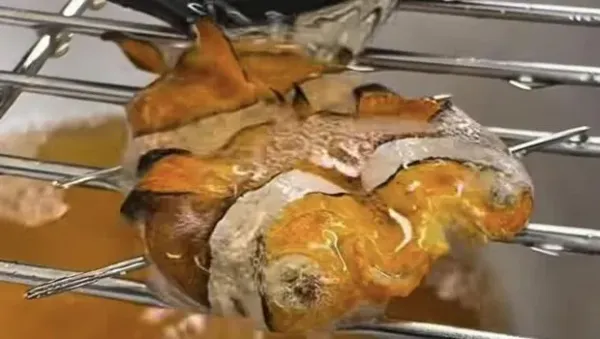 Chef masak nemo Wow! Chef Ini Nekat Masak Ikan Nemo jadi Menu Mewah