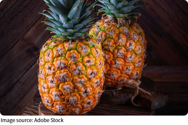 Pineapple Art Painting