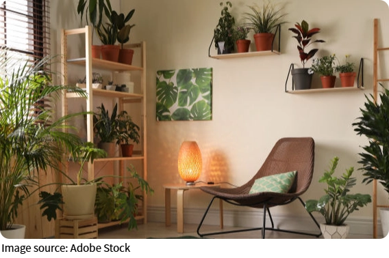 Hassle-Free Indoor Planting