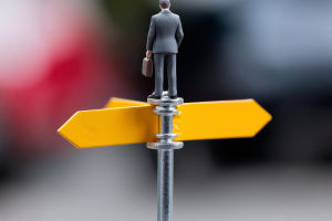 Find Your Ideal Career