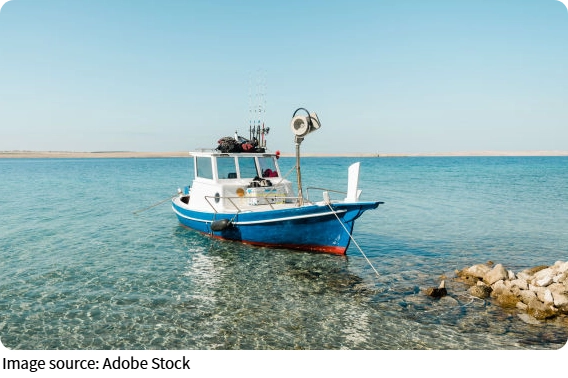 Aşırı Avlanma
