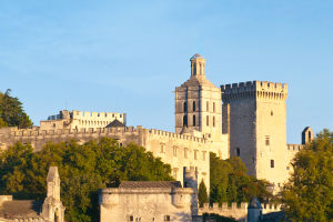 Avignon in a Nutshell