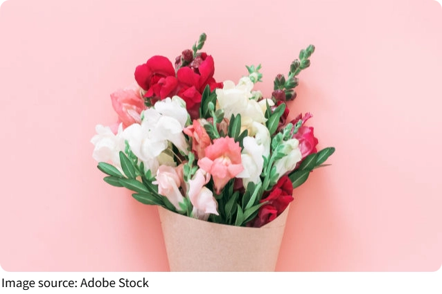 Sắc Màu Của Hoa Mõm Chó