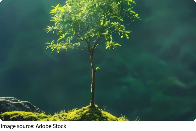 Cây xanh cứu Trái Đất