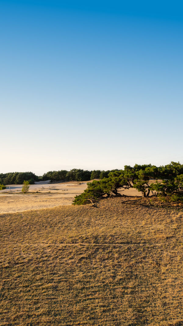 Lommel: Sand, Sky, Silence
