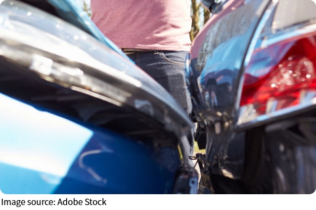 After the Crash Guide