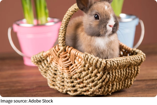 Giỏ để bàn ngoài trời