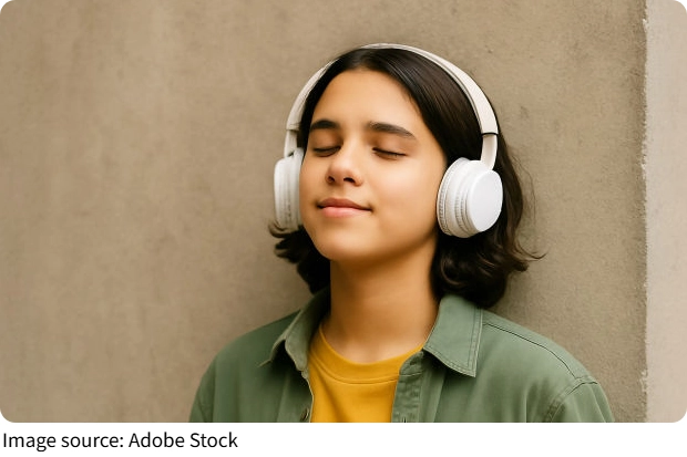 Noise-Cancelling Headphones