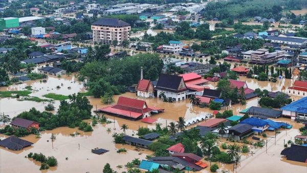 รายงานพิเศษ