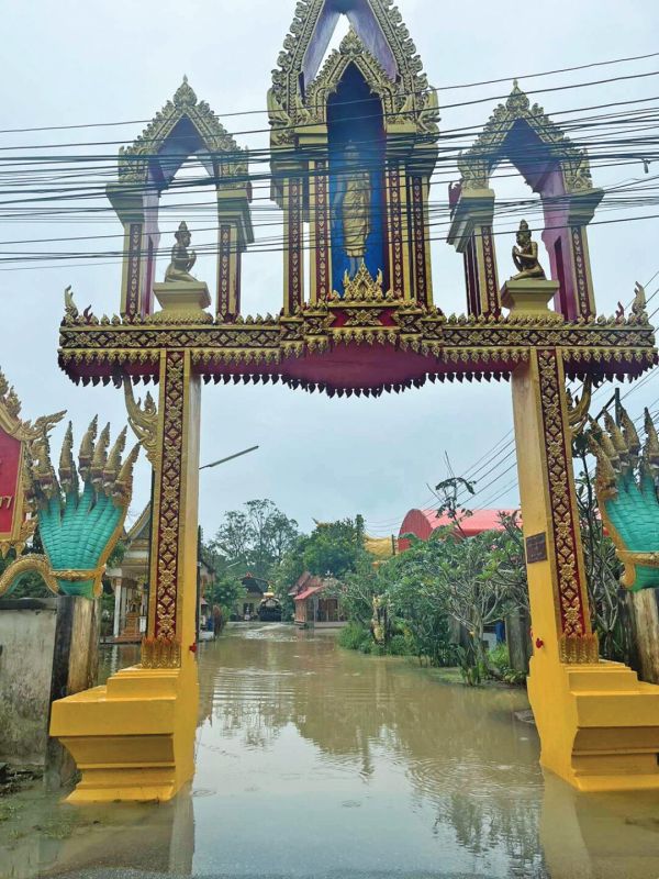 รายงานพิเศษ