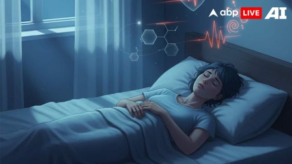 (Image Source: ABPLIVE AI)