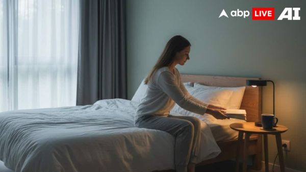 (Image Source: ABPLIVE AI)