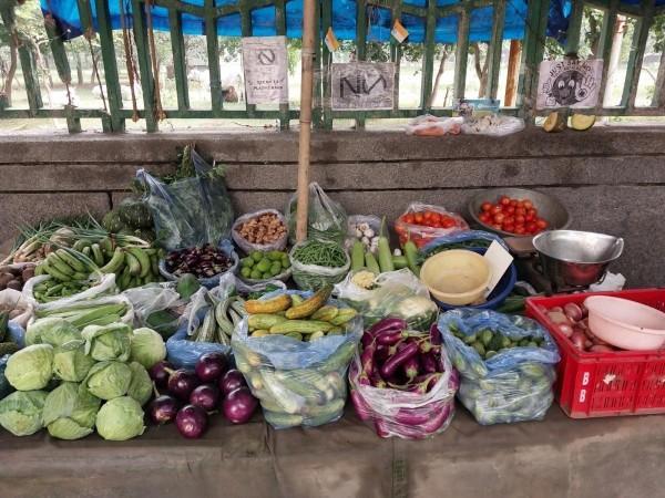 Vegetable prices sky-high in Bengal's retail markets ahead of Diwali