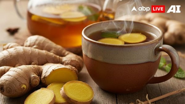 (Image Source: ABPLIVE AI)