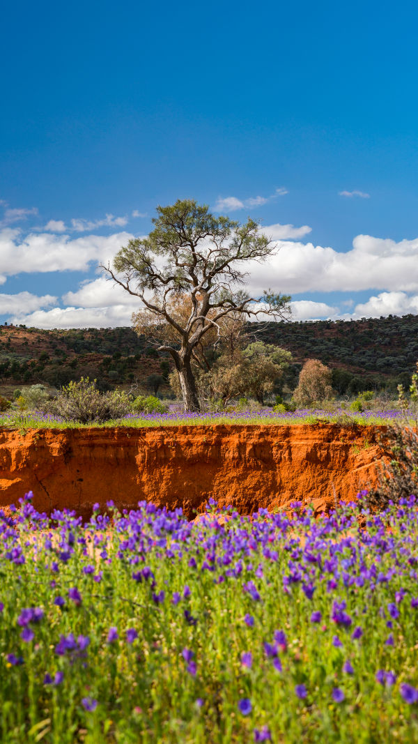 Broken Hill: Outback Icons
