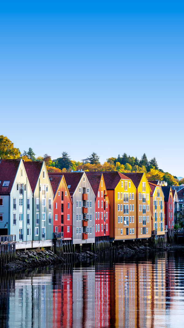 Trondheim, Trimmed to Wow