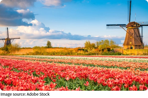 Jelajah Keindahan Belanda