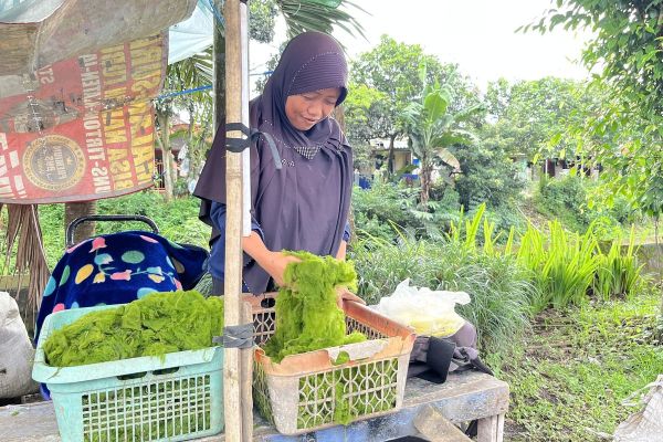 Penjual lumut di trotoar Jalan Talangagung, Kecamatan Kepanjen, Kabupaten Malang, Yuda Desi Hidayati (42).(IMRON HAKIKI/KOMPAS.com)