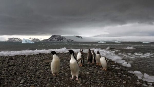 Even frozen Antarctica is being walloped by climate extremes, scientists find