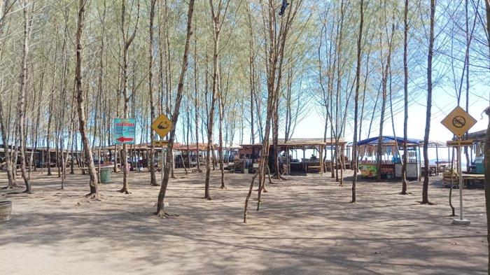 Pantai Cemara di Kecamatan Puger, Jember, merupakan salah satu pantai di pesisir selatan Jember